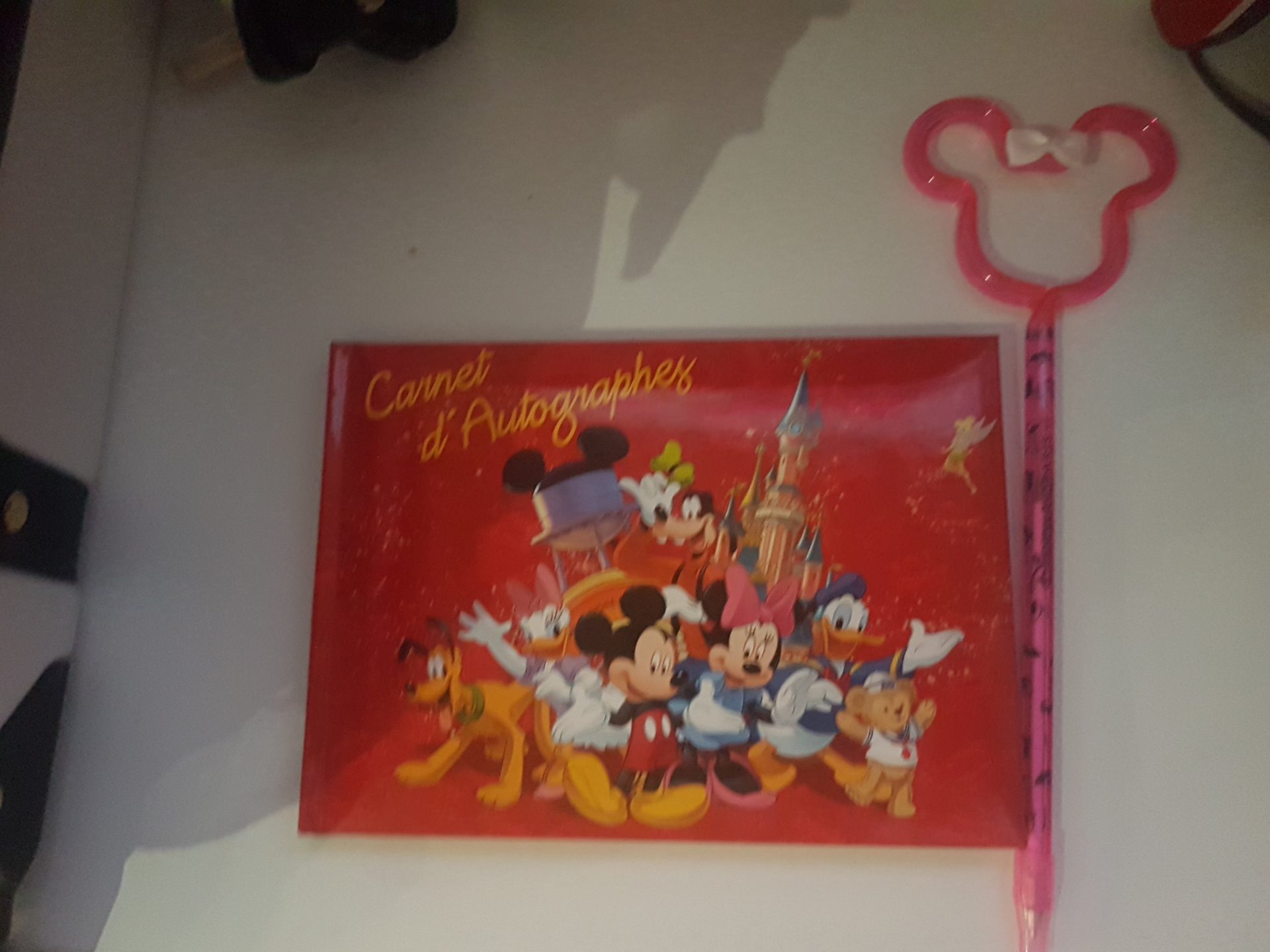 Disneyland Paris Mickey And Friends Autograph Book