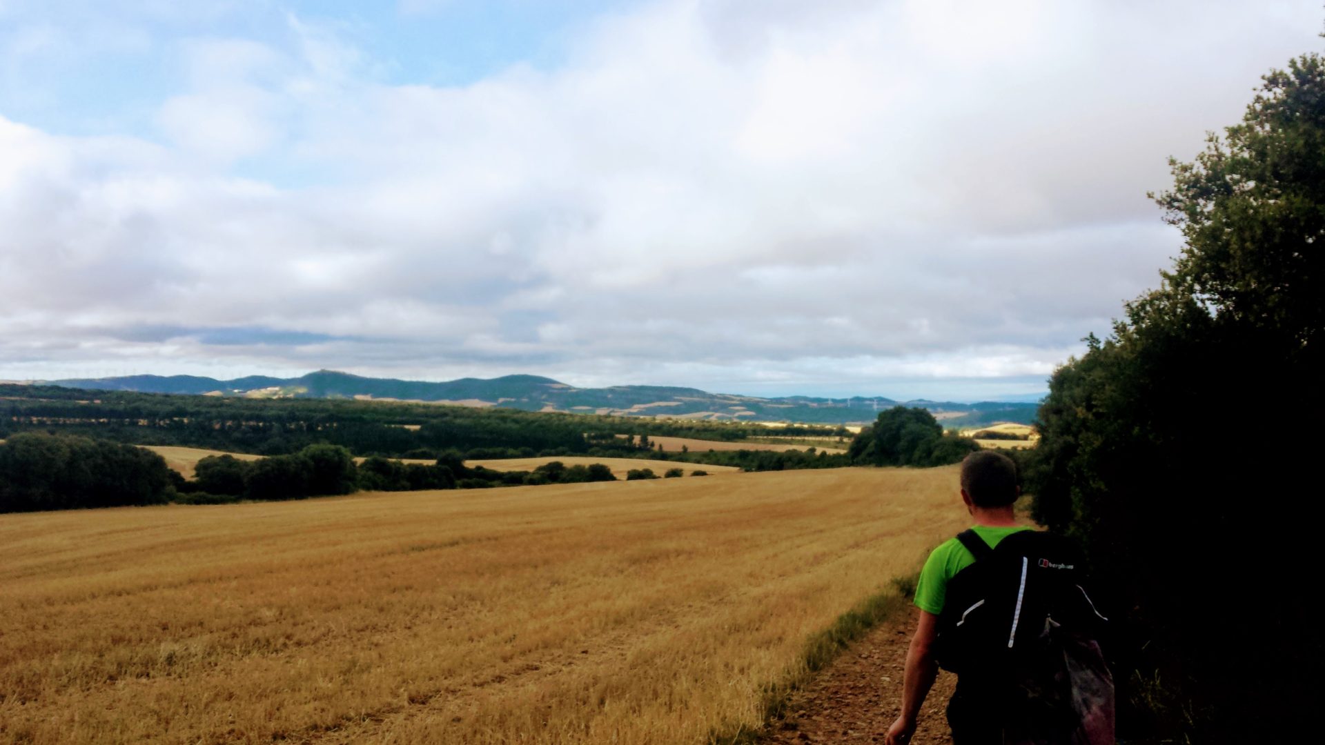 Camino de Santiago / Santiagorako bidea - Mancomunidad de Izaga / Izagako  Mankomunitatea