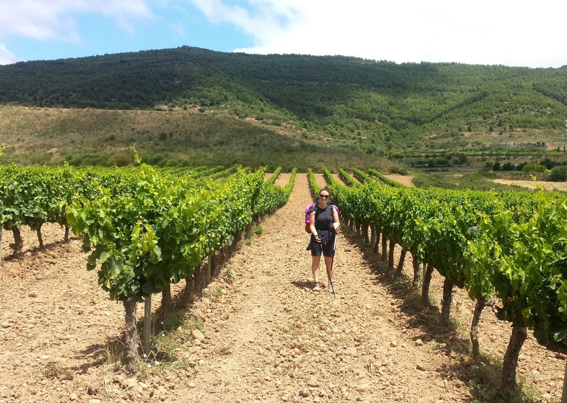 Camino de Santiago / Santiagorako bidea - Mancomunidad de Izaga / Izagako  Mankomunitatea