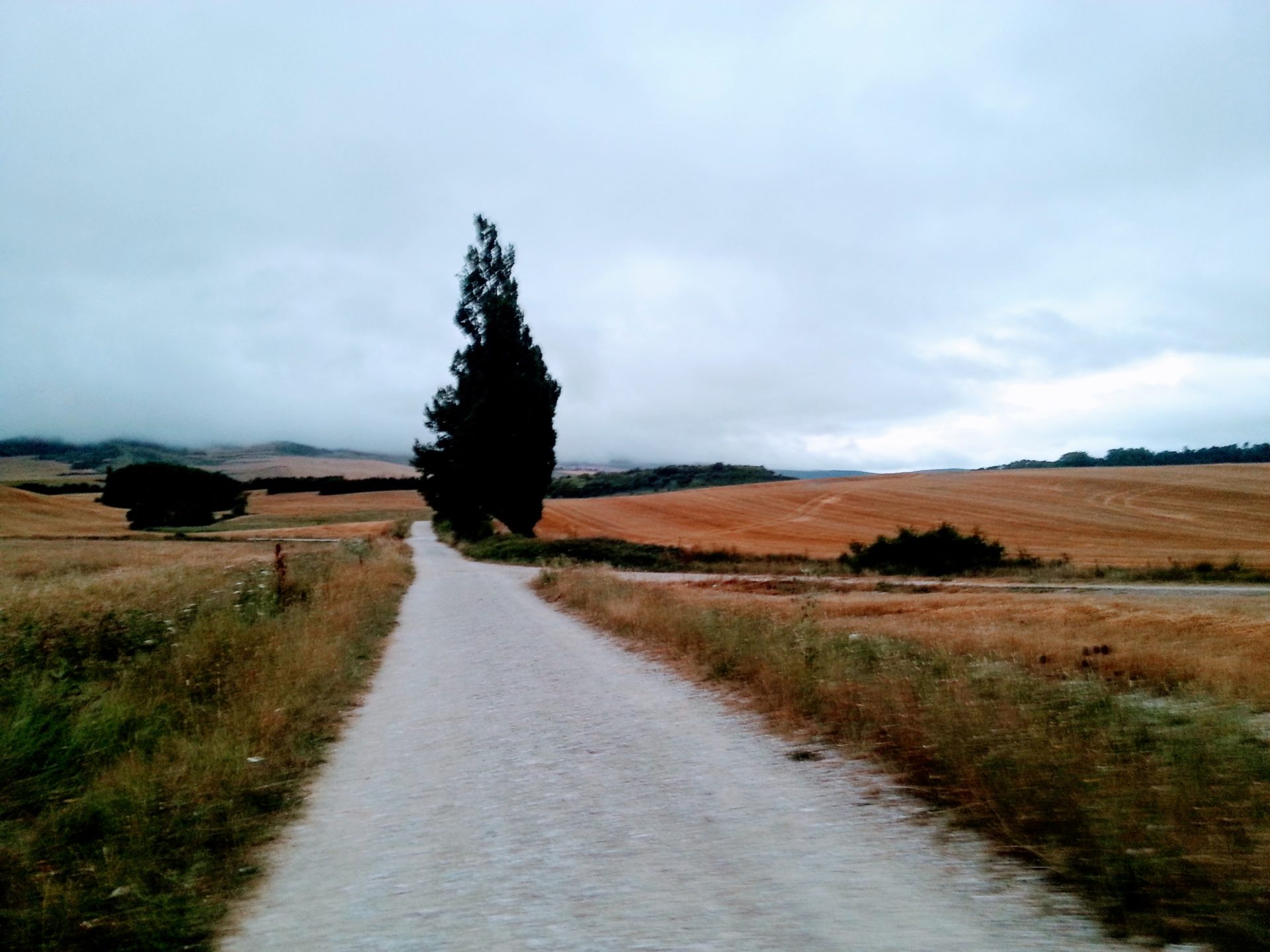 Camino de Santiago / Santiagorako bidea - Mancomunidad de Izaga / Izagako  Mankomunitatea