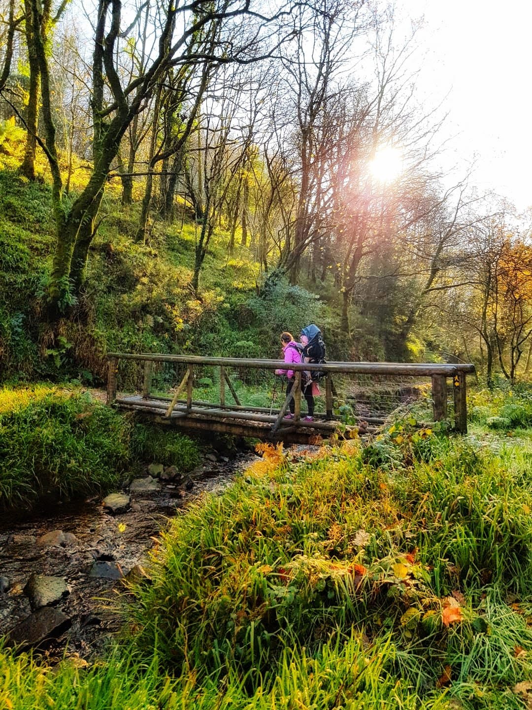 Monicknew Forest Hike bridge