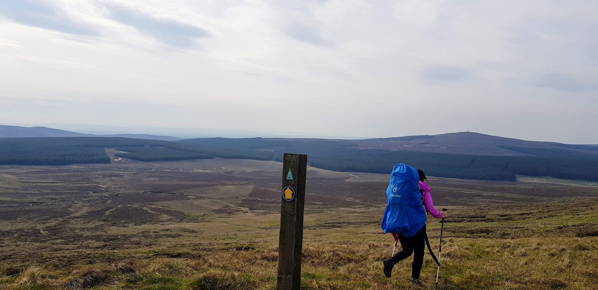 Trostan summit antrim